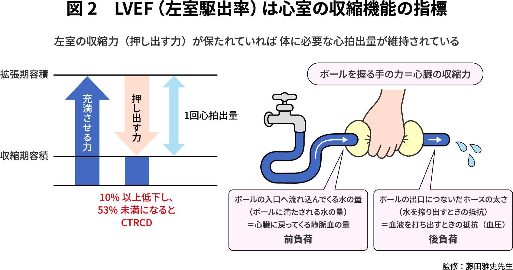 図2：LVEF（左室駆出率）は心室の収縮機能の指標