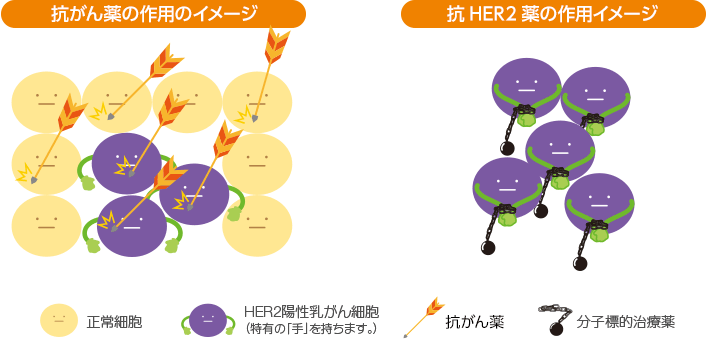 抗がん剤の作用のイメージ　分子標的治療薬の作用のイメージ