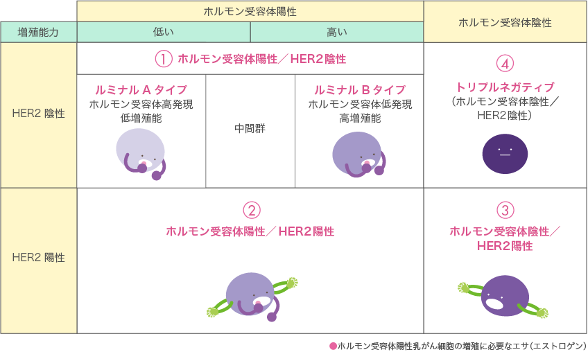 (1)ホルモン受容体陽性／HER2陰性　(2)ホルモン受容体陽性／HER2陽性　(3)ホルモン受容体陰性／HER2陽性　(4)トリプルネガティブ（ホルモン受容体陰性/HER2陰性）