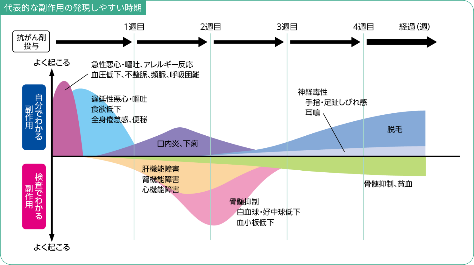 代表的な副作用の発現しやすい時期